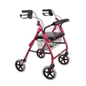 Andador 4 Ruedas con Asiento y Canasto Blunding